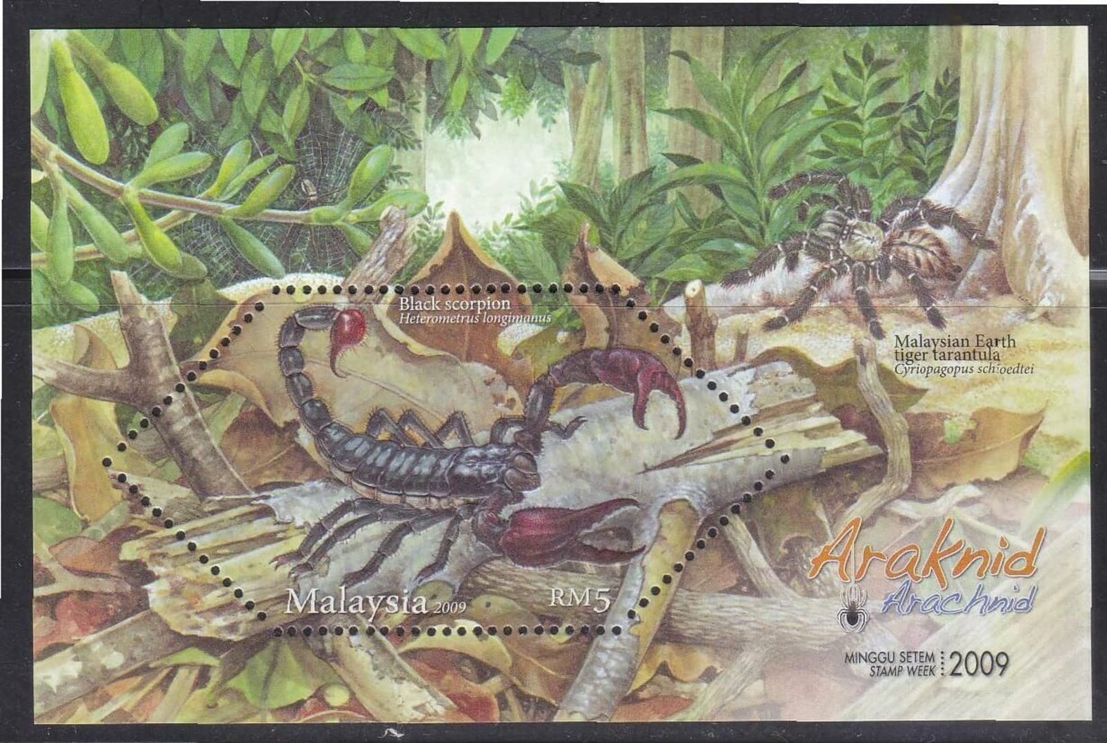 Malaysia 2009 Arachnid Black Scorpion Odd Shaped Stamp Miniature Sheet MNH Stampbazar