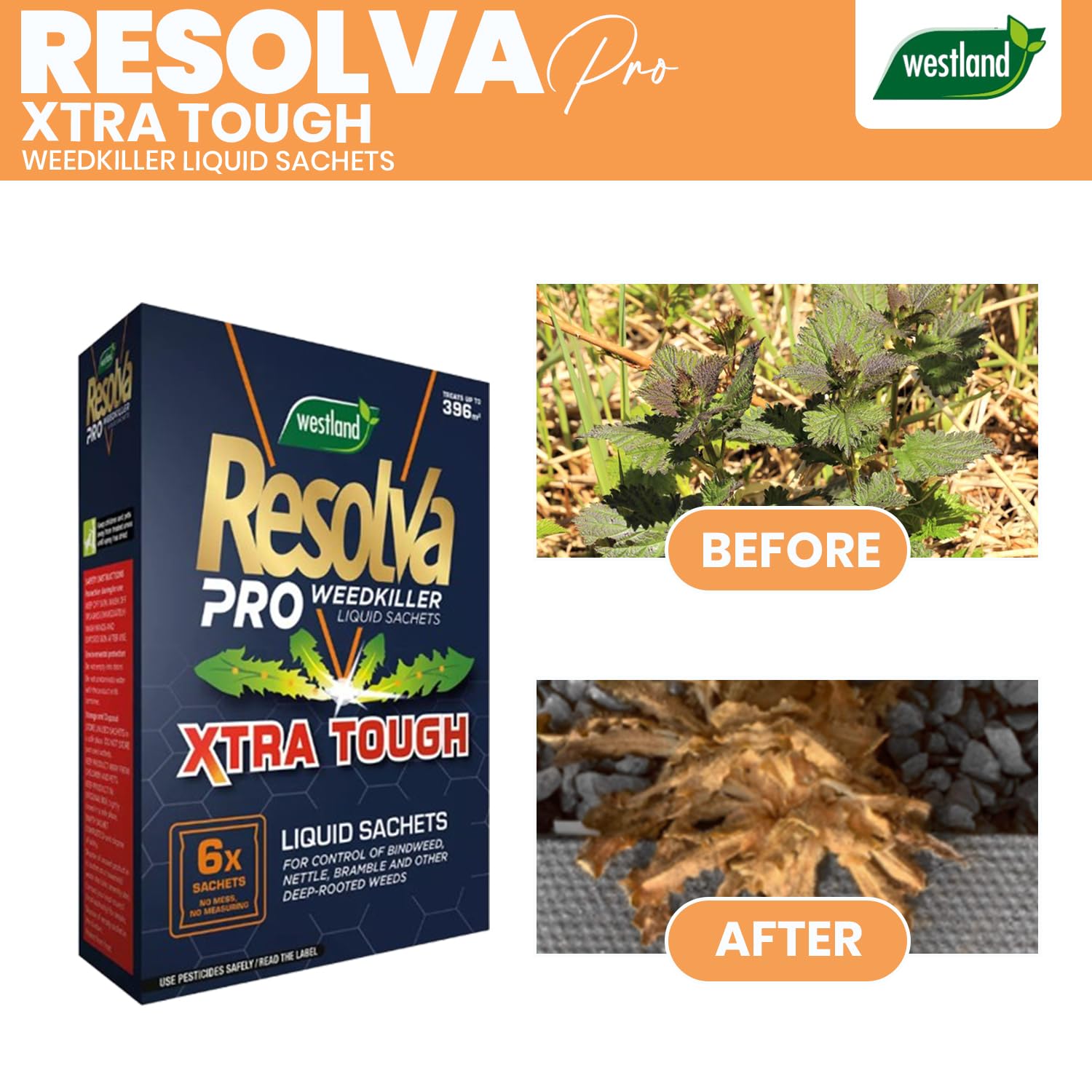 View 3