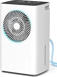 Desumidificador de Ar 6L/Dia com Controle Inteligente, Botão de Toque, Temporizador 24H, 2L Tanque, Drenagem Contínua ou Manual, Degelo Automático, Ideal para Casa e Escritório 220V