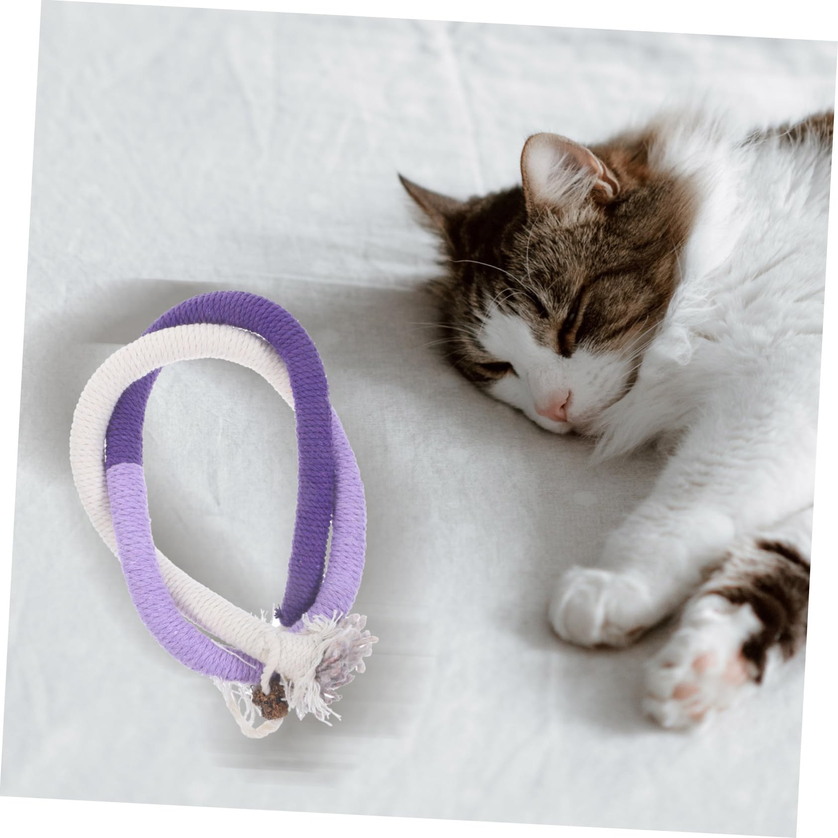 BESPORTBLE 12pezzi Giocattoli Interattivi Catnip Per Gattini Di Giochi Con Corda Per Masticare e Istinto Di Per Gatti Indoor