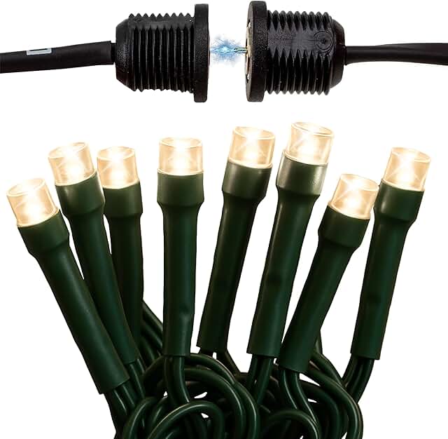 Valetines Day Lights - 60ft LED String Lights with Quick Connect - Indoo...