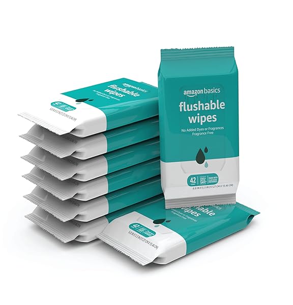 Amazon Basics Flushable Adult Toilet Wipes, Fragrance Free, 42 Count (Pack of 8) (Total 336 wipes) (Previously Solimo)