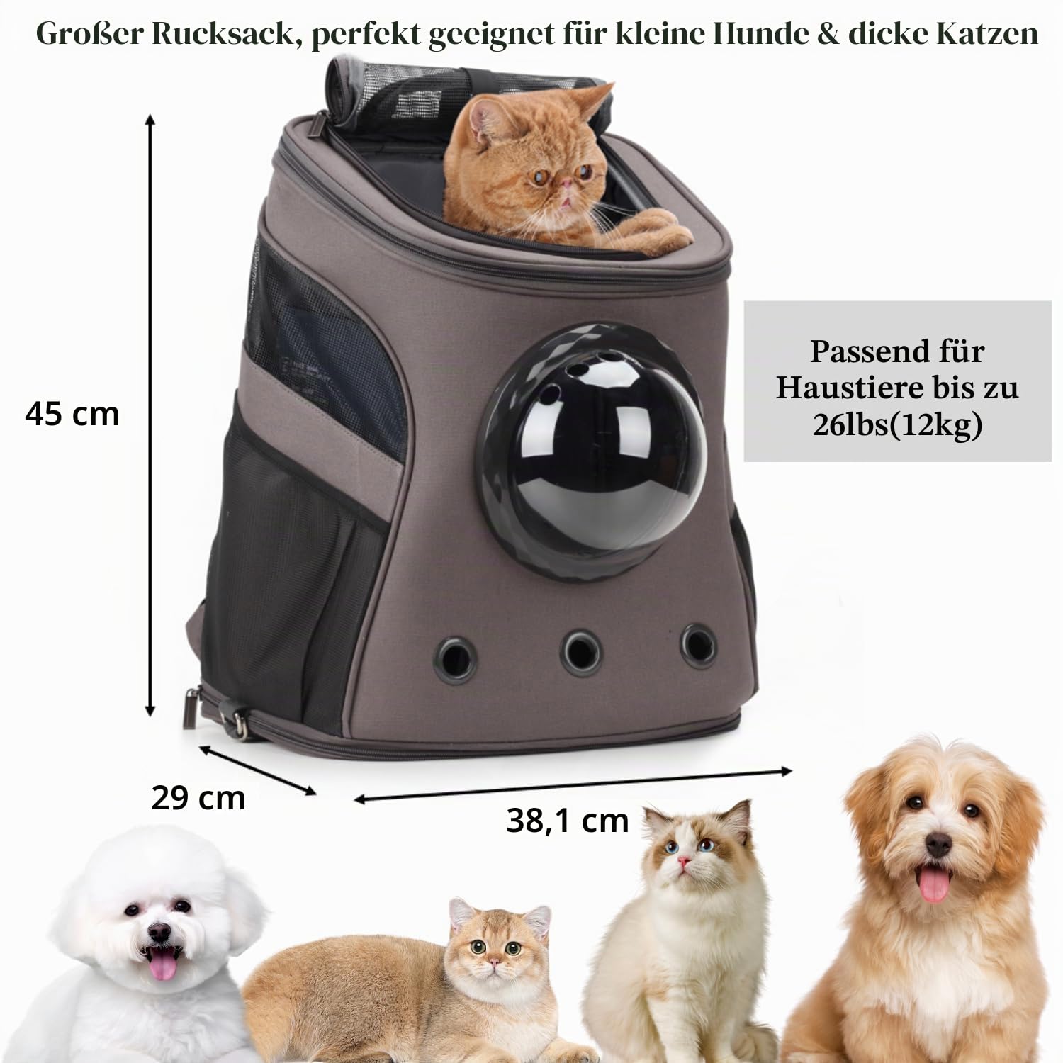 Lollimeow Katzenrucksack Großer HaustierRucksack - Fluggesellschaft zugelassen für Katzen & Hunde. Hunderucksack für fette Katzen und Welpen.(groß, grau)