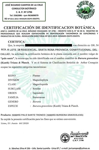 Miniatura 9 de Palo Santo Premium - Varillas de incienso enrolladas a mano de Palo Santo, 100% salvaje peruano para meditación, relajación y limpieza espiritual