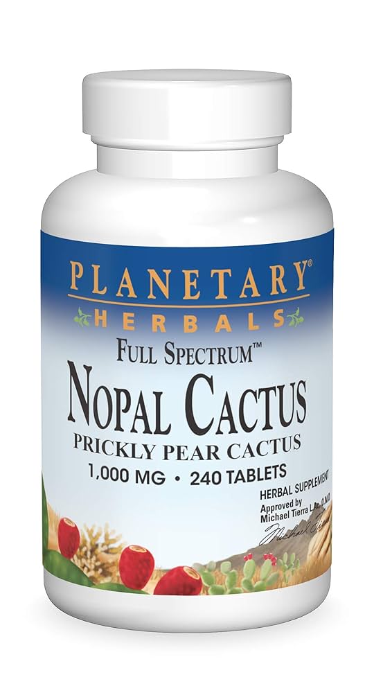 Nala ナラ　Cactus all in one Nala Cactus all-in-one