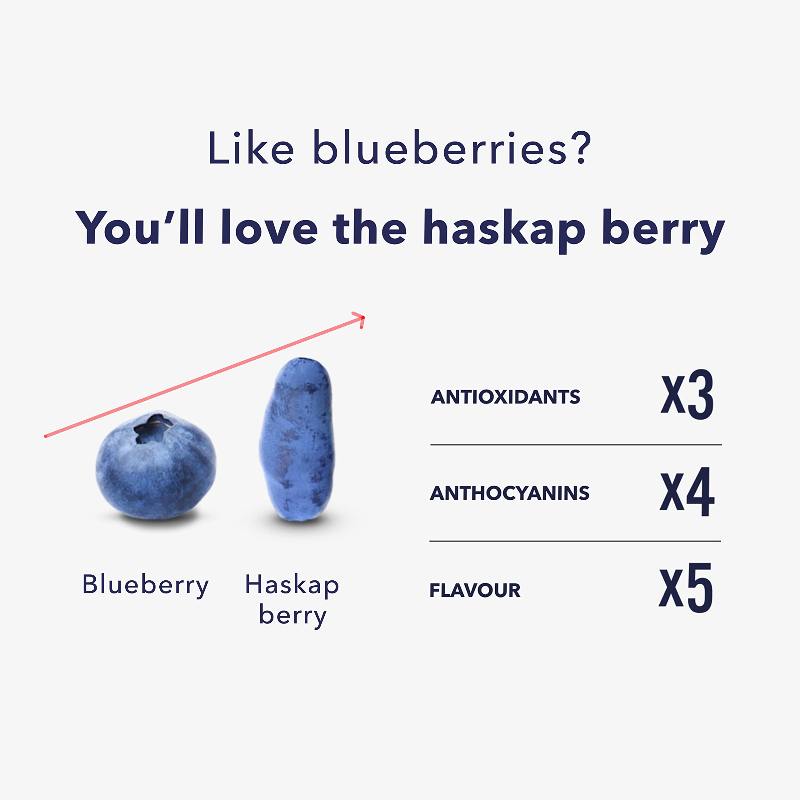 Buy Haskapa Super Berry Powder 100 Natural Vegan Haskap Berries High in Vitamin C