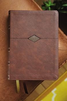 Amazon | Holy Bible: New International Version, Leathersoft, Brown