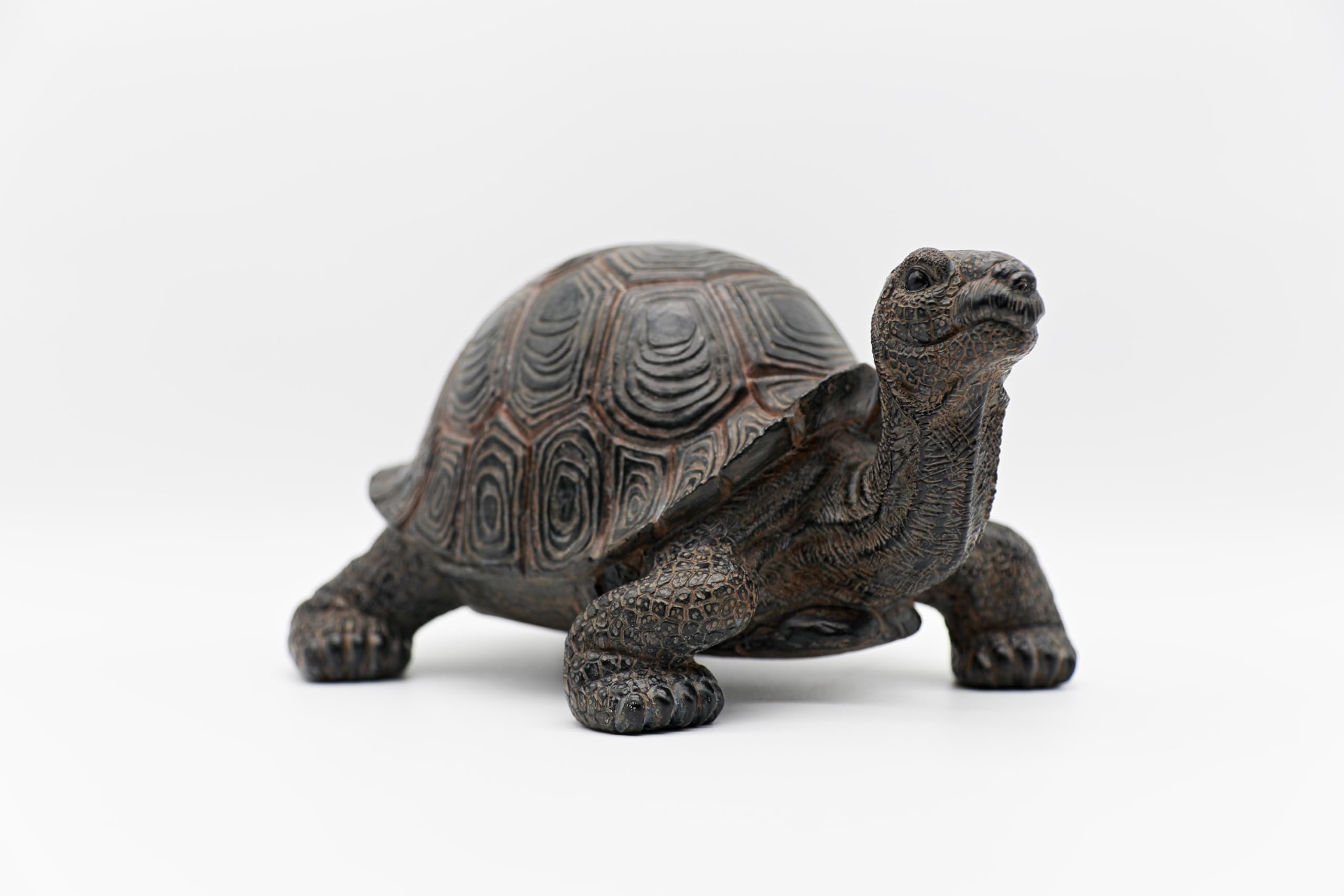 STEINFIGURENWELT GIEBEN Design Dekofigur Schildkröte XXL 24x48cm aus Poly Wohnzimmer Tierfigur Garten Deko Modern Gartendeko Gartenfigur (Schildkröte XXL)