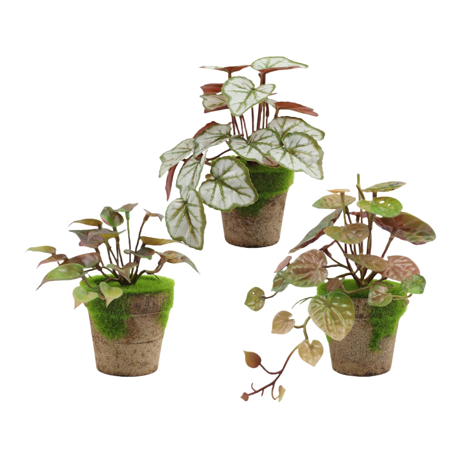 Fausse plante sans entretien pour sublimer vos décorations extérieures