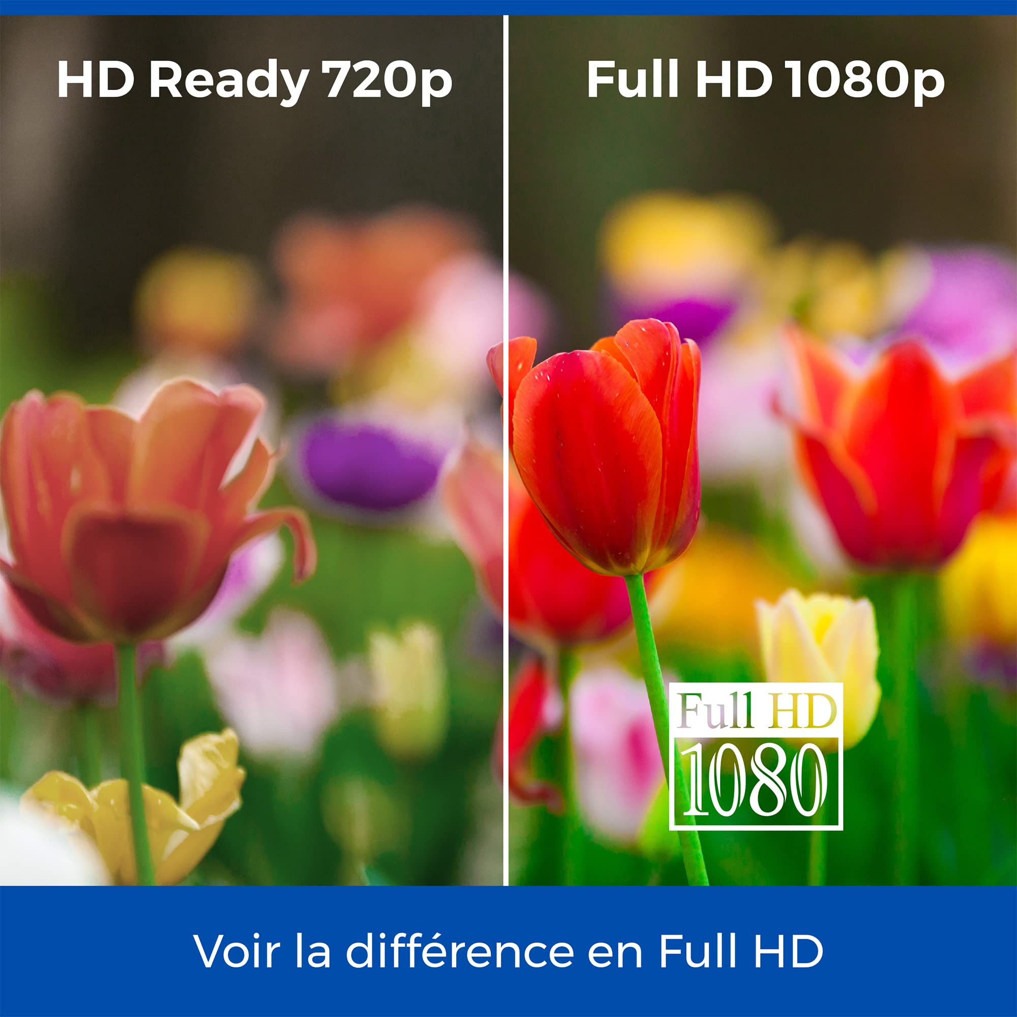 Cello C1624F 16" Pouces,12V, Full HD LED TV, pour Le Camping et Les Voyages, Lecteur DVD intégré, Triple Tuner DVB-T/T2-C-S/S2, HDMI, USB, Adaptateur de Voiture, Son Parfait [Classe énergétique E]