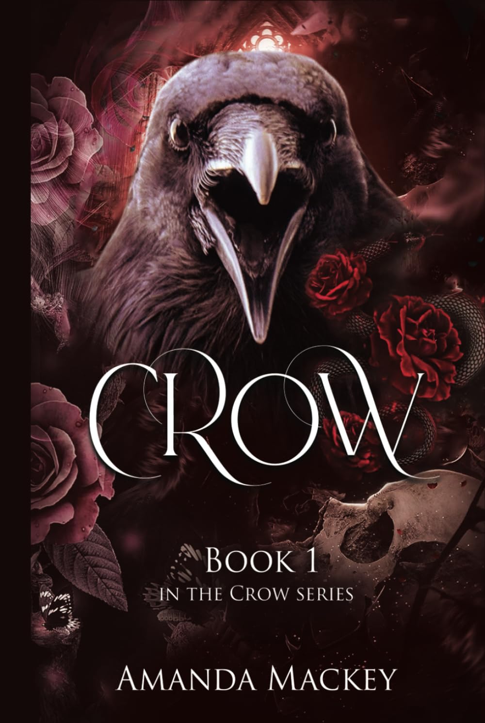 Crow: A dark romance Book 1 (The Crow Series)