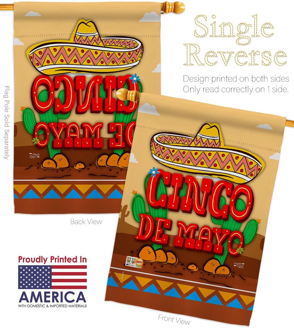 Southwest Cinco de Mayo House Flag Summertime Party Cactus Pinata Sombrero Mexican Fiesta Outdoor Small Decorative Gift Yard Banner Made In USA 28 X 40