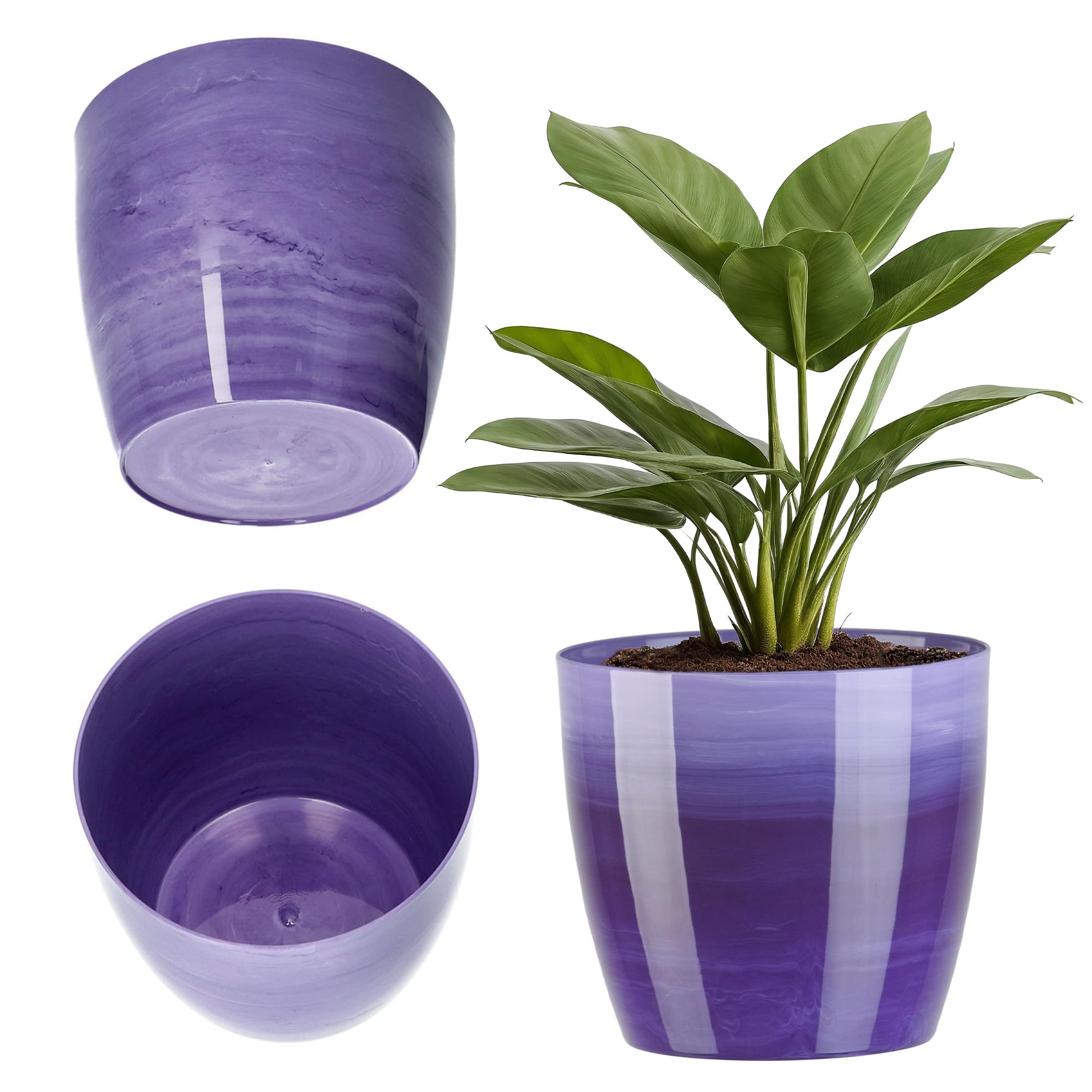 KADAX Maceta con Plato y Plato para Cactus, helechos (30 cm, Rosa) — view 19