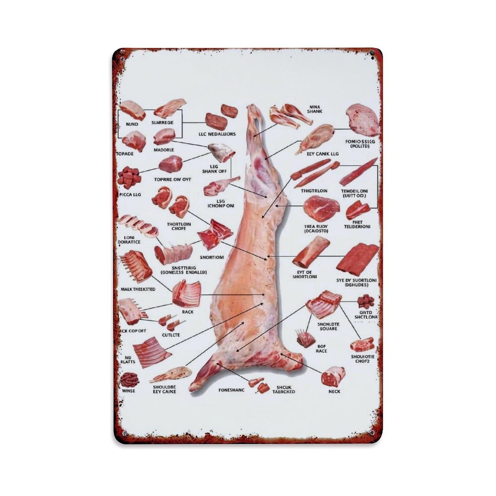 Jdfenggu Vintage Lamb Butcher Cut Diagram Retro Metal Tin Sign, Metal Poster For Bar, Home, Man Cave, Kitchen, Laundry Room Art Decor 8X12 Inch