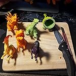 Review Image by Savannah Paytash Savannah Paytash