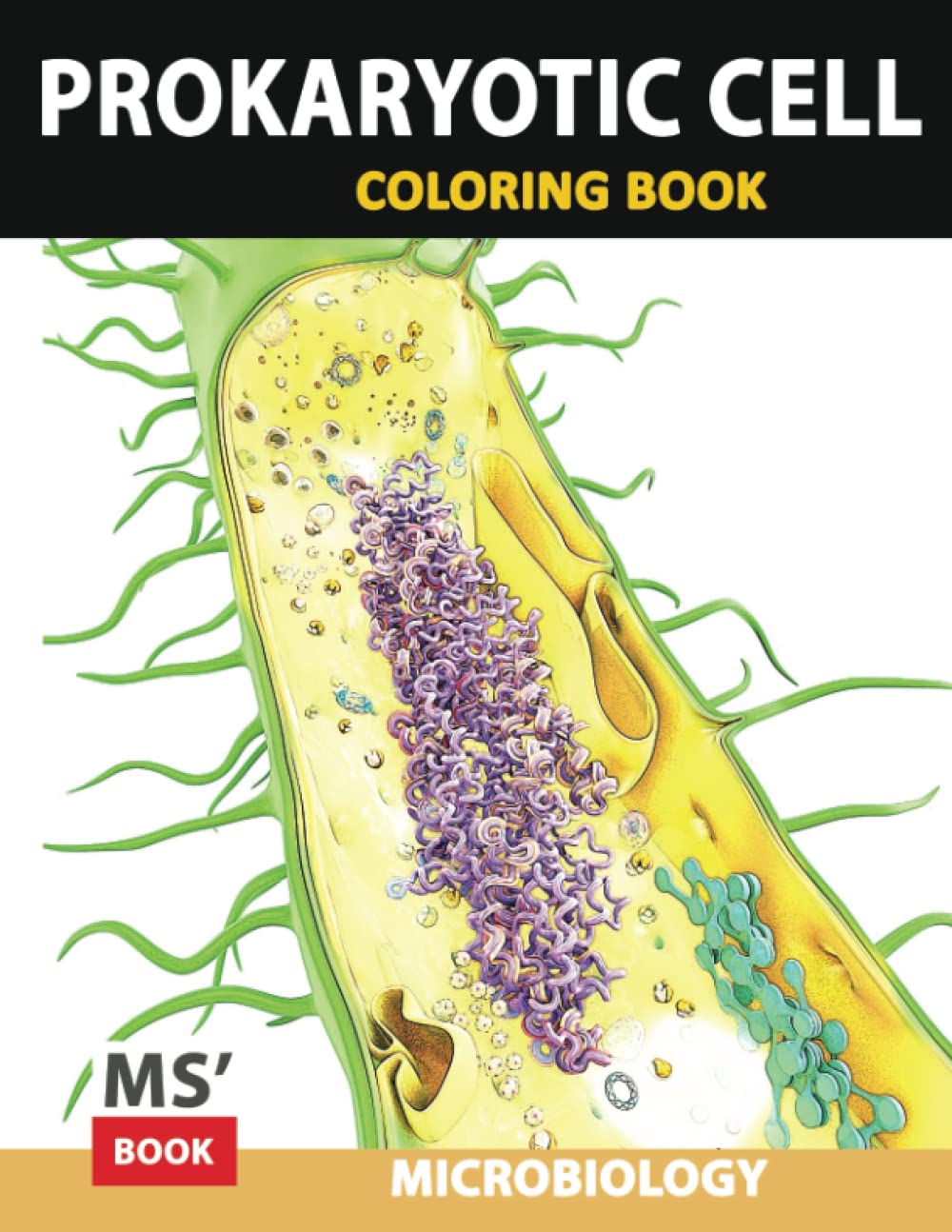 Prokaryote Cell Coloring Pages