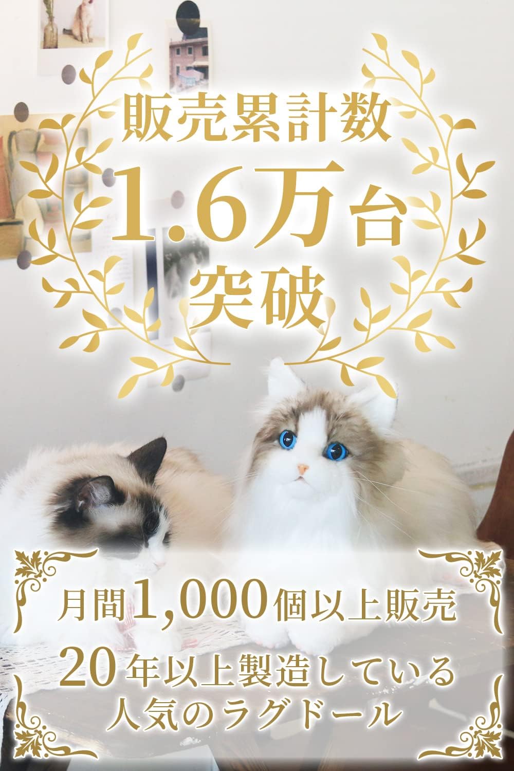 スマホ 猫 ぬいぐるみ 大きい ひざねこ リアル猫 人形 プレゼント 抱き枕 Ohstore いです Shineray Com Br