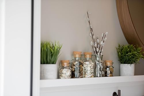 Miniatura 4 de Paquete de 12 tarros de boticario de 5 onzas  Tarros de vidrio con tapas de tapón de corcho, fabricados en Alemania, almacenamiento para especias,