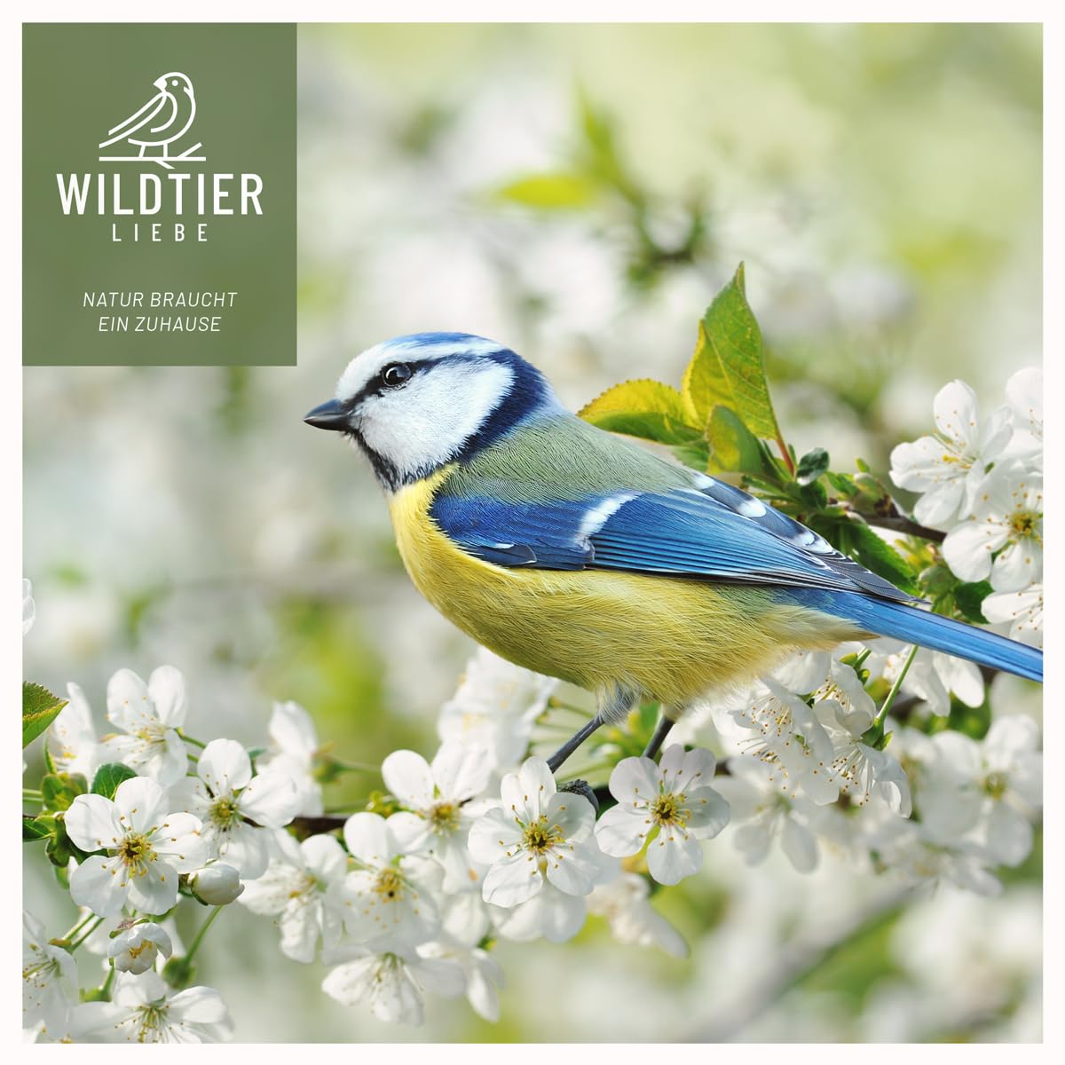 wildtier liebe Larves de mouches soldats séchées 5 l I Larves de mouches soldats séchées pour oiseaux et hérissons I Nourriture riche en protéines pour oiseaux sauvages pour l'alimentation toute