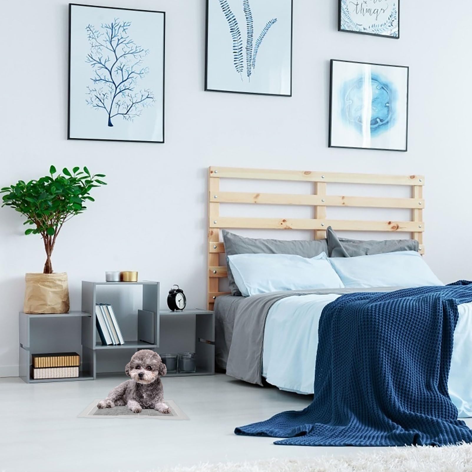 Hemobllo Almohadillas Absorbentes para Orina de Mascotas 100 Unidades, Desechables, de Tela No Tejida, Portátiles y Altamente Absorbentes para Entrenamiento y Viaje