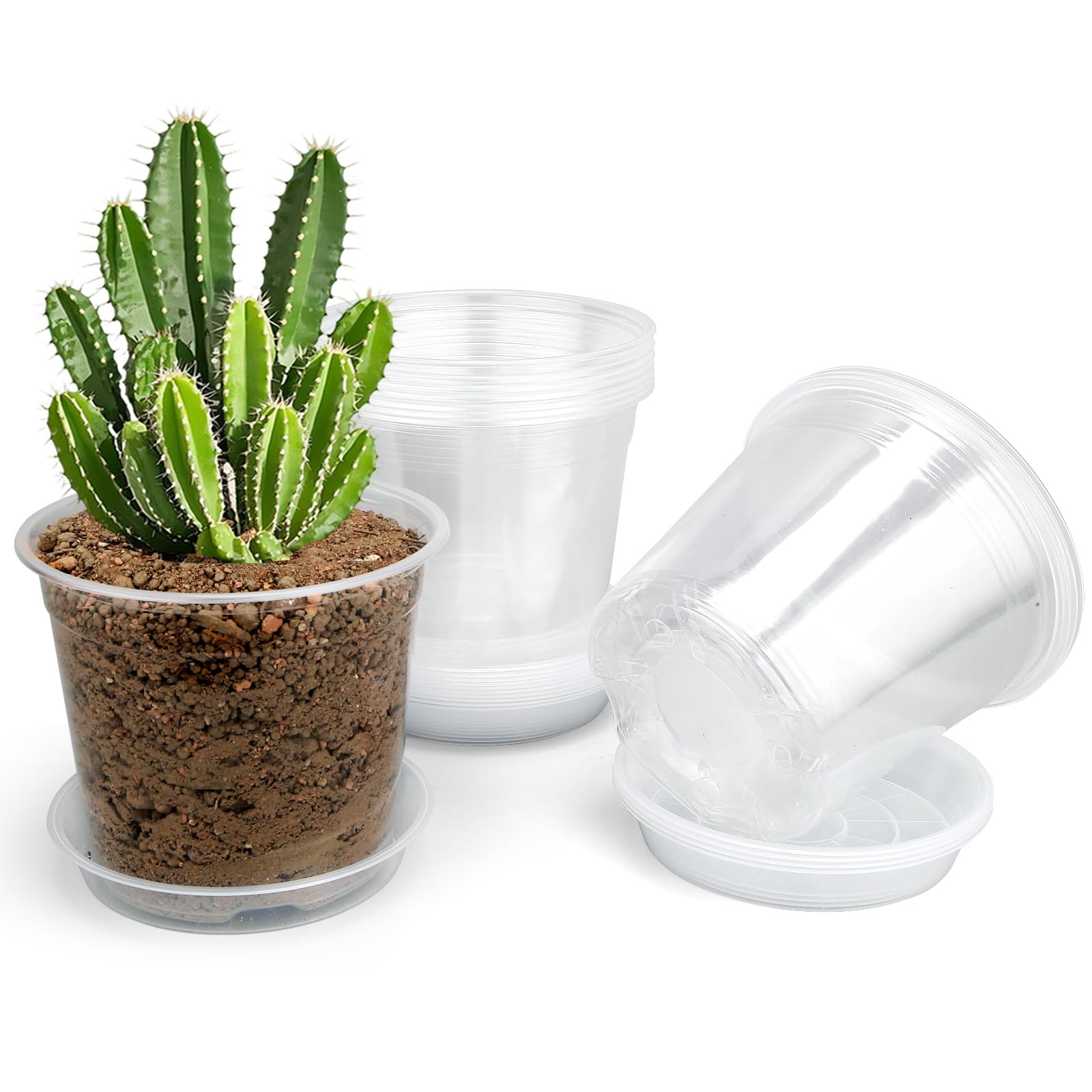 DUNPUTE 4 inch clear nursery pots