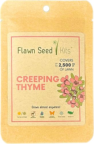 Semilla de césped con flores de tomillo rastrero Flawn Seed - 2500 pies cuadrados - Para niños mascotas polinizadores y alternativa de hierba