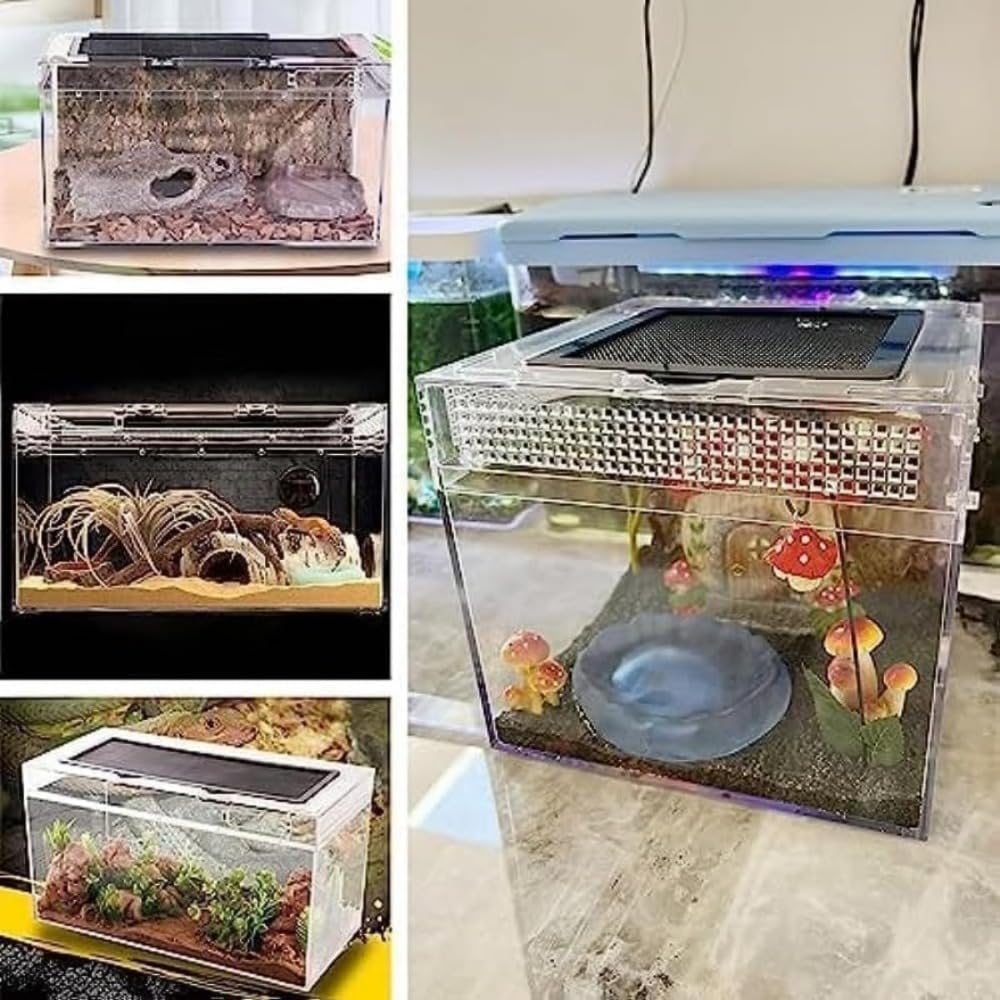 Amazon | 爬虫類ケージ飼育容器、トカゲケージ、爬虫類ケージ