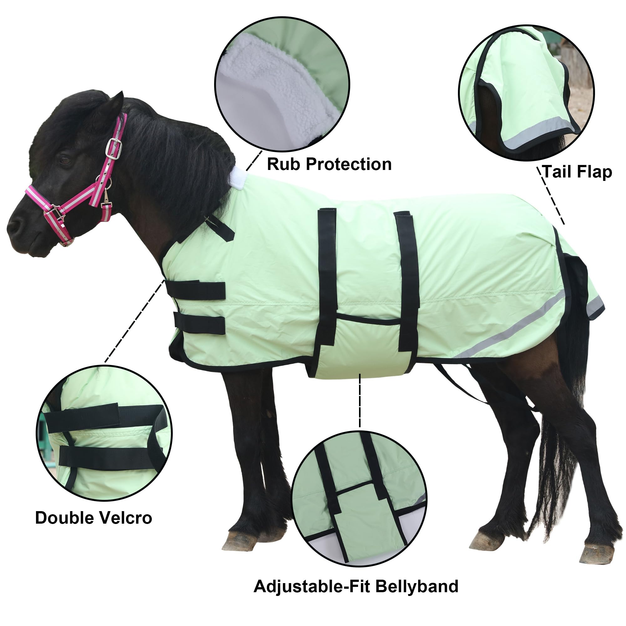 Leberna Coperta invernale per puledro e mini cavallo, 300D, traspirante, in miniatura, con fascia per la pancia (imbottitura da 150 g) (verde erba, L (90 - 100 cm)