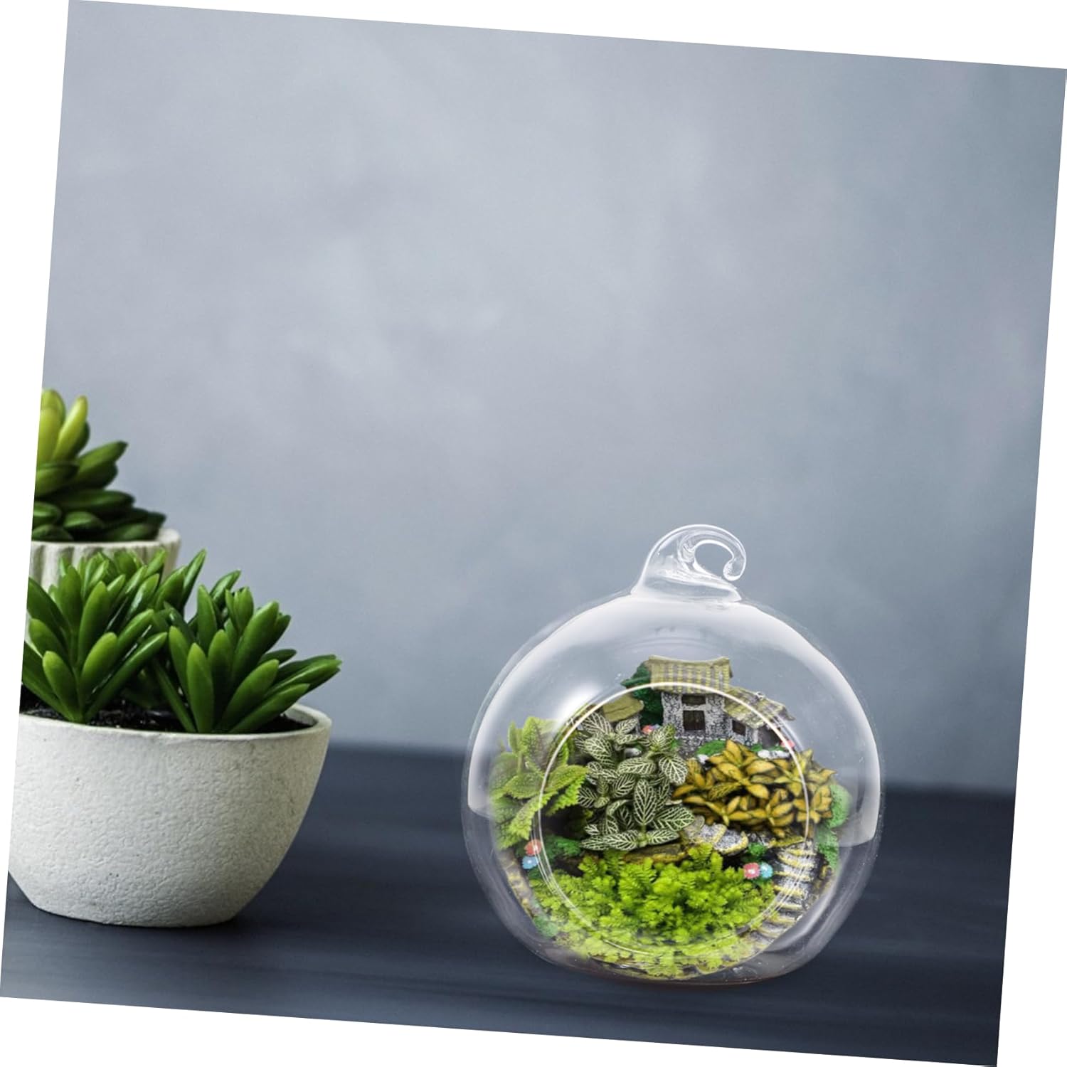 Sosoport 12Pcs Clear Hanging Glass Terrarium Opening Microlandscape Planter for Air Plants Succulents Compact Decorative Vases for Home Office Garden Balcony
