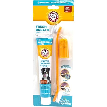 prosense dog toothpaste