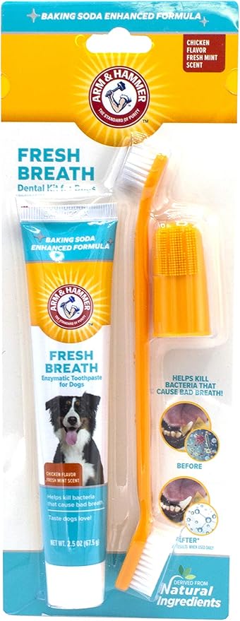 nylabone advanced oral care toothpaste