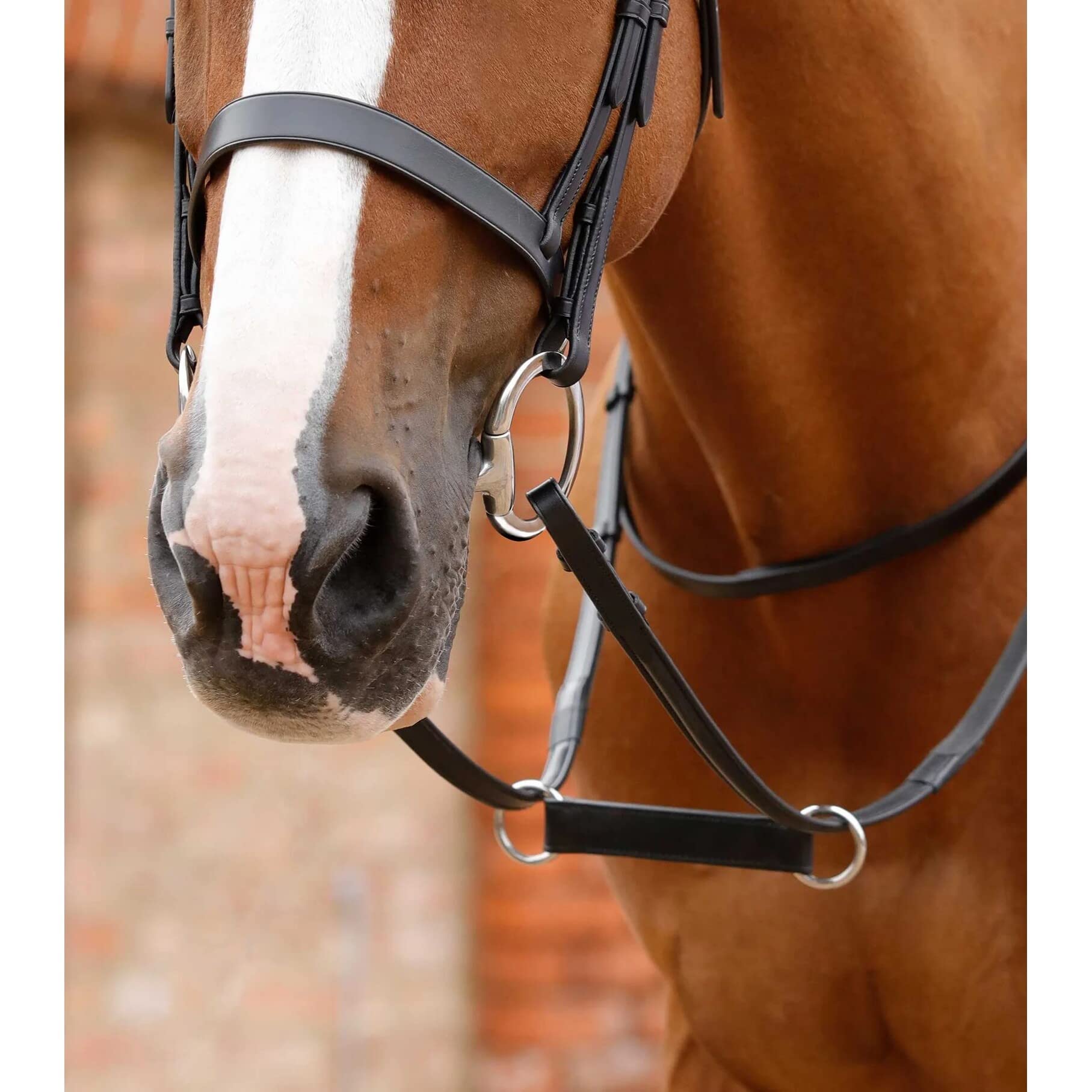 Premier Equine Martingale for horse Esperia Irish