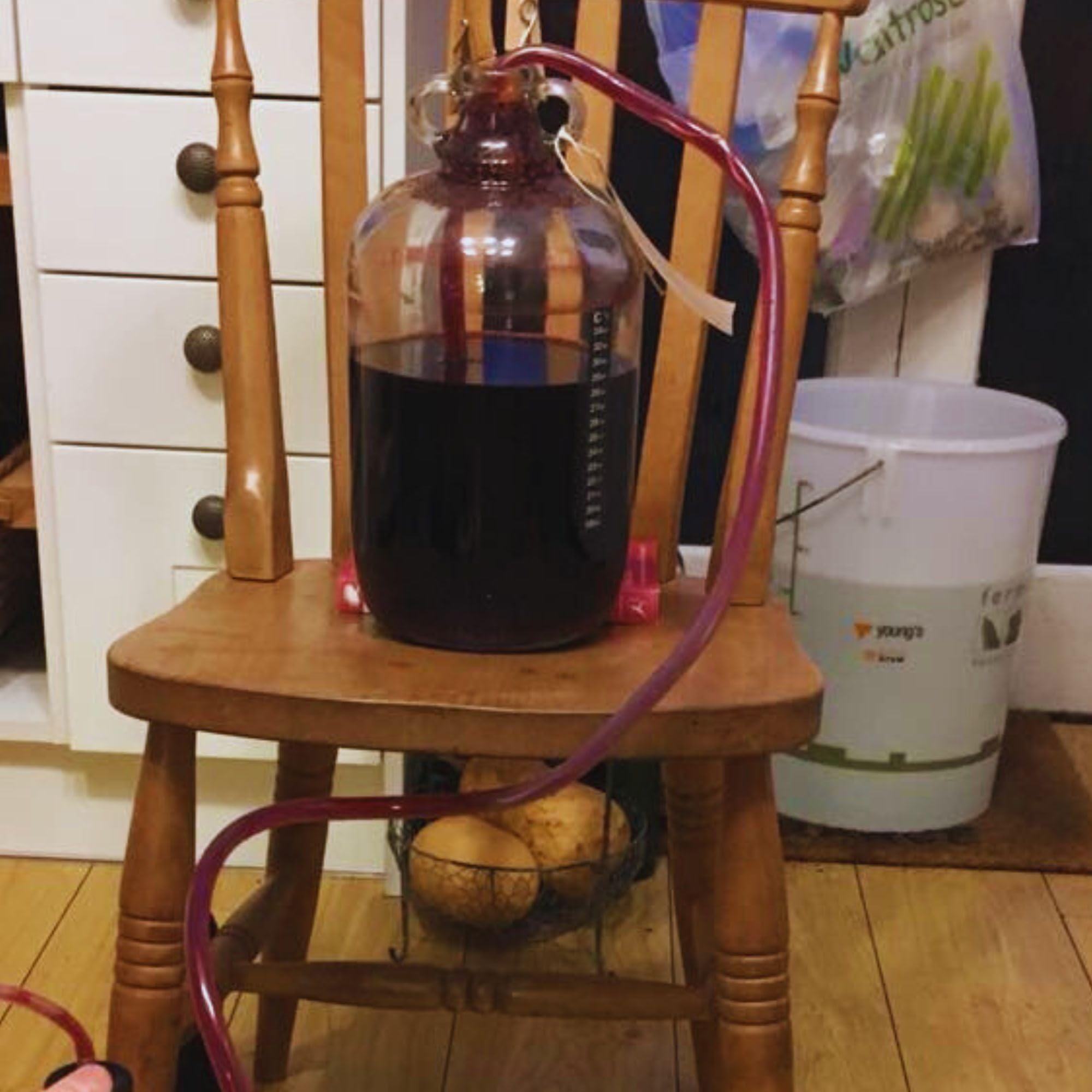 Yeast Nutrient - Recipiente resellable de 100 g