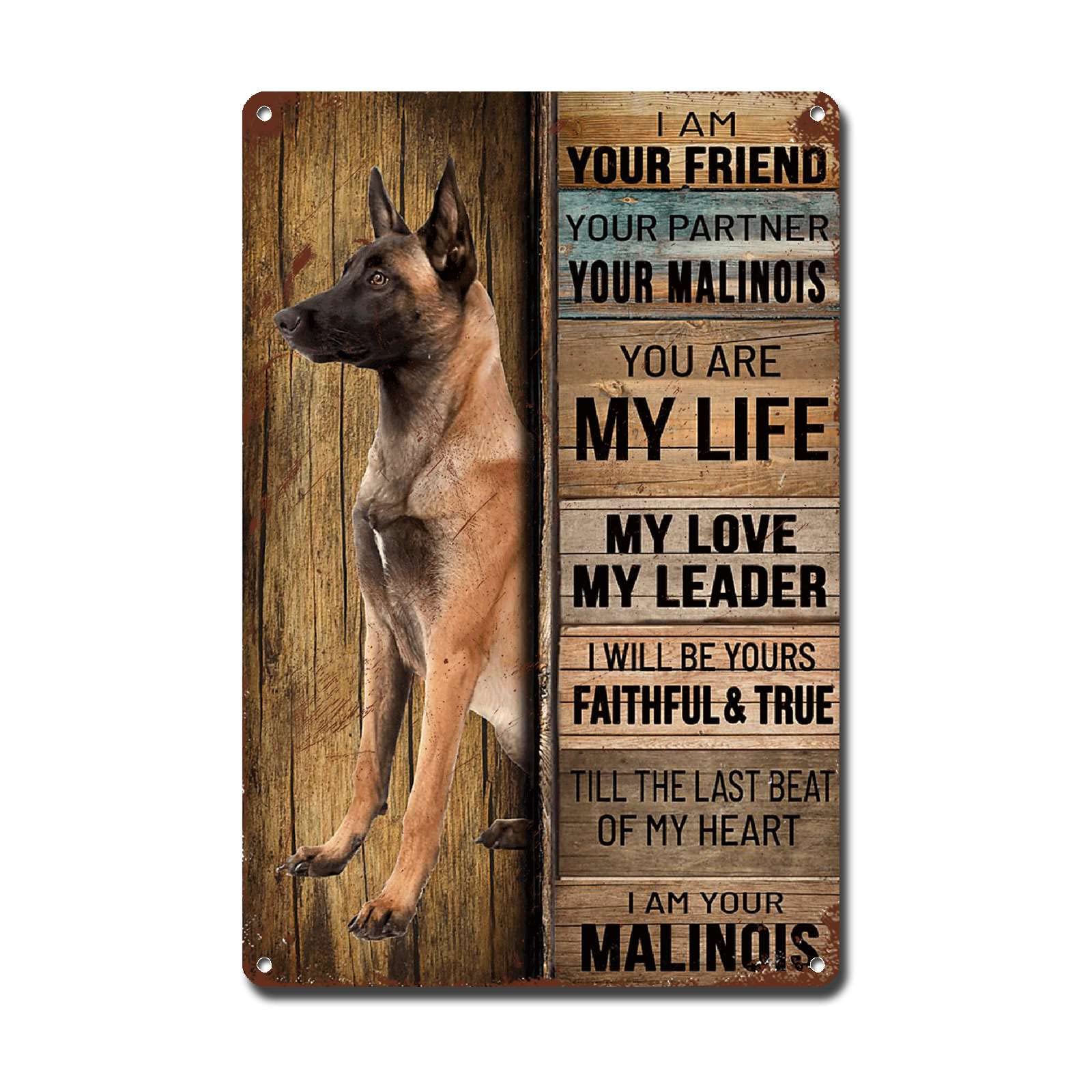 Lygond Metal Sign Tin Sign Vintage Wall Art I Am Your Friend Gift for Malinois Lovers Dog Lovers Vintage Wall Art Prints Tin Signs Gardening for Patio 8×12 Inches