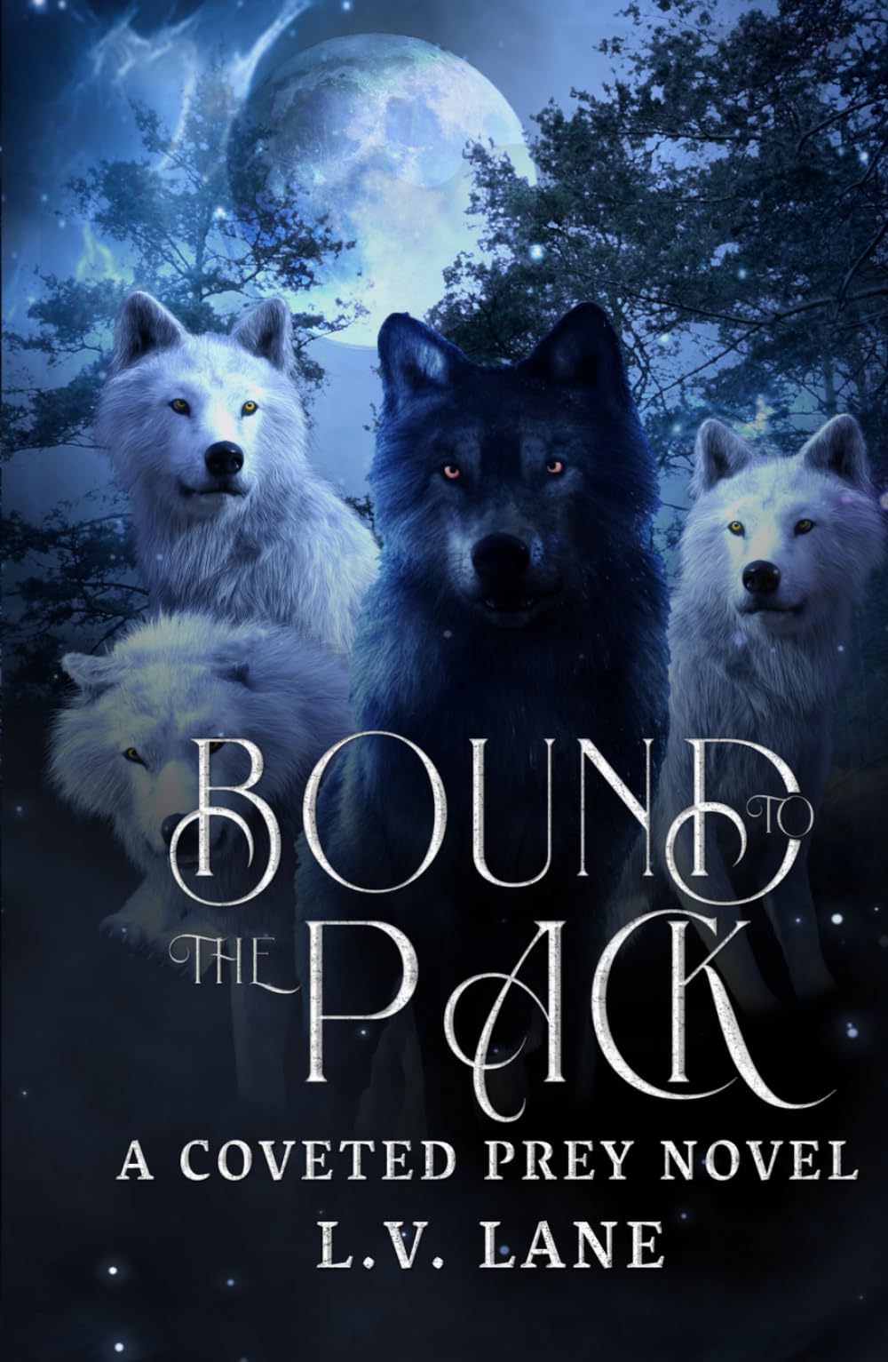 Bound to the Pack: A Dark Protectors Fantasy Romance (Coveted Prey)