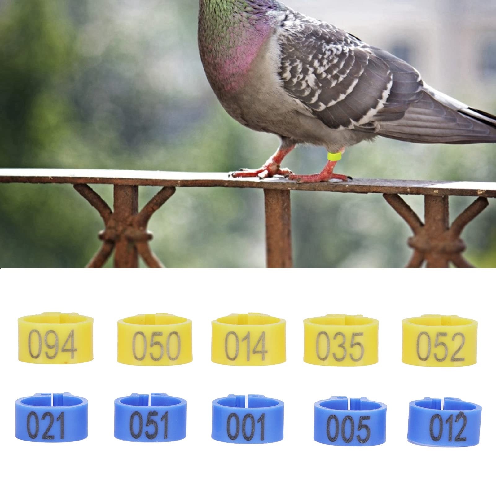 48 Anelli Per Zampe Di Pollo - Multicolore Con Numeri, Per Identificazione Pollame