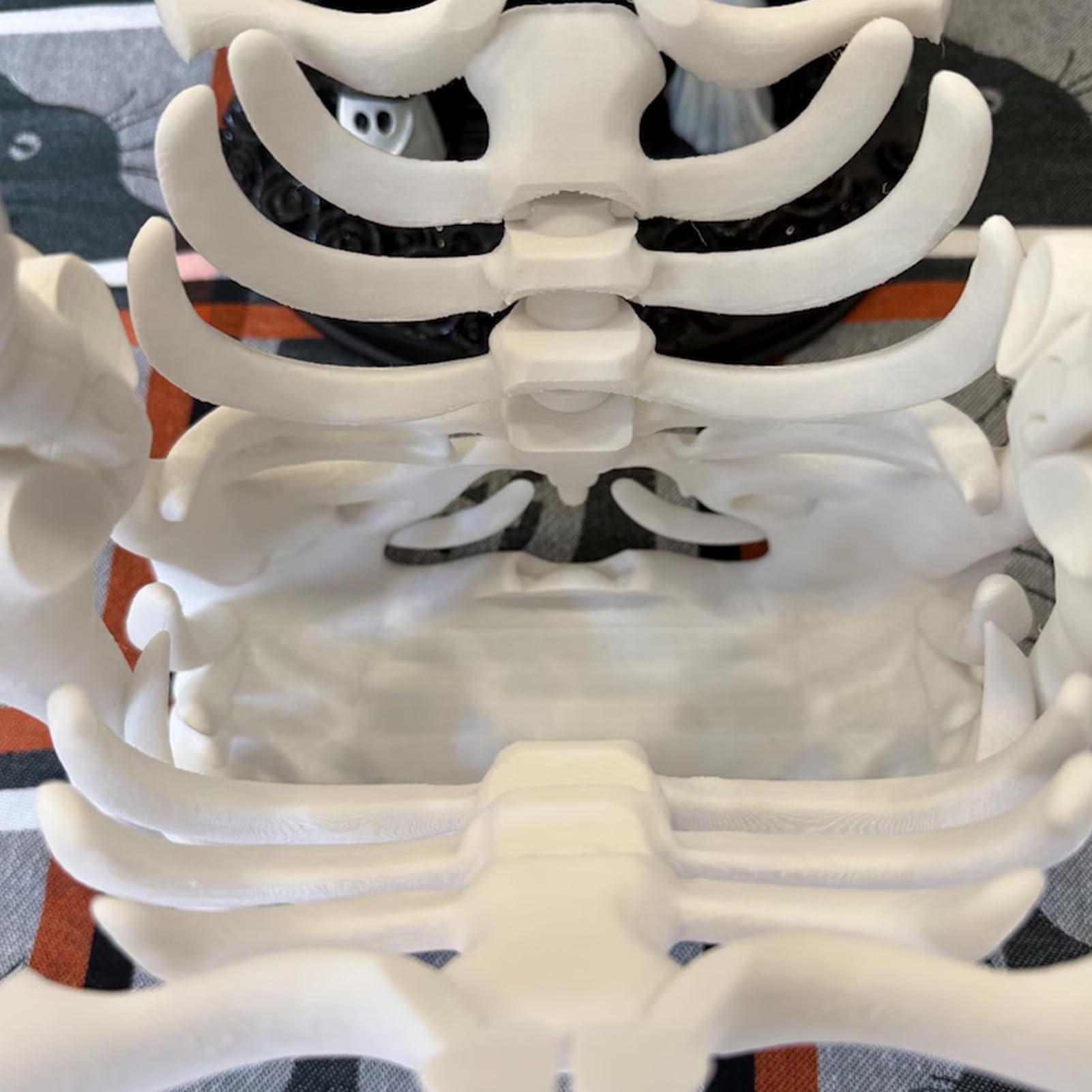 Portmonetka z czaszką – gotycki punkowy portfel w kształcie klatki piersiowej, modna torebka na Halloween | materiał drukowany 3D, stylowe akcesorium do pracy, szkoły, makijażu, imprezy, podróży, mała