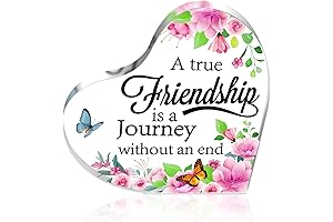Acrylic Heart Keepsake and Paperweight Friend Plaque: The Perfect Keepsake for Celebrating True Friendships