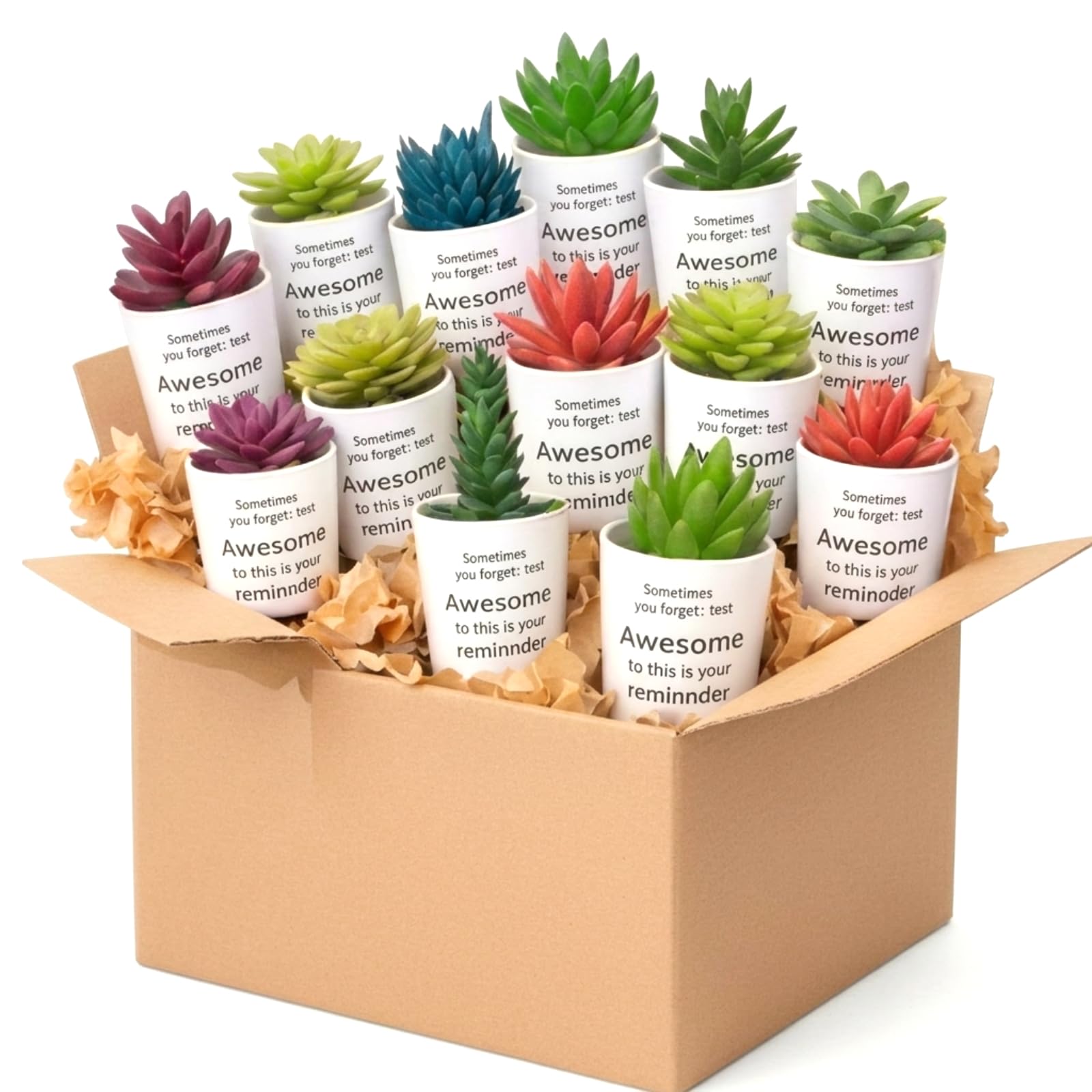 Photo 1 of 24 Set Artificial Faux Succulents in Pots Mothers Day Mini Fake Plants Plastic Artificial Plants Sometimes You Forget You're Awesome for Mother Gift Employee Nurses Coworker Colleague Teachers