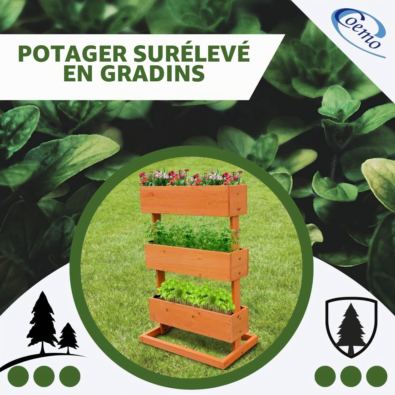 Coemo Jardinière Verticale surélevée à 3 étages - Escalier de Fleurs - Parterre d'herbes prématurées - Jardinière avec Film de Plantation - 49 x 30 x 75 cm - pour terrasse, Balcon et Jardin d'hiver
