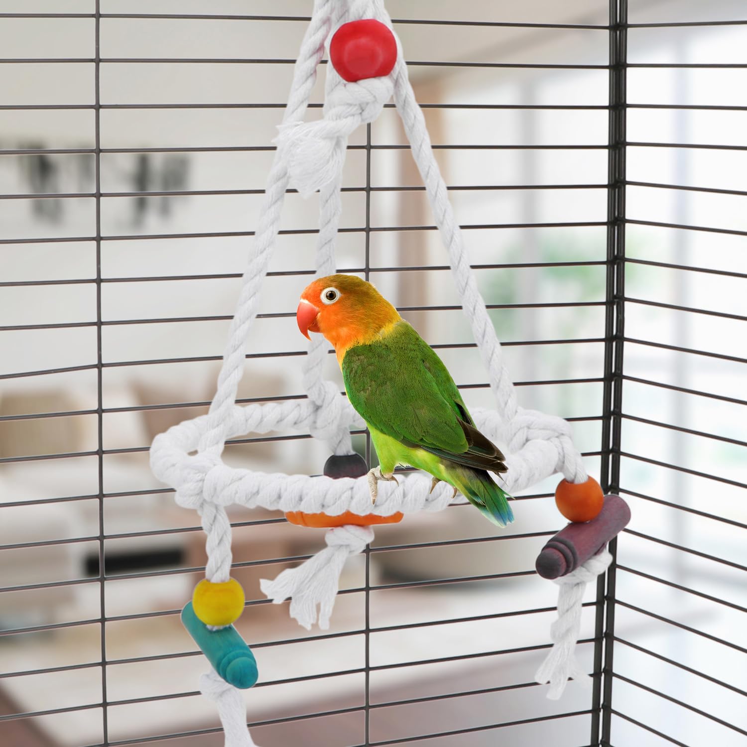 Amazon | Hypeety ペット 鳥 オウム ブランコ ぶら下げおもちゃ インコ