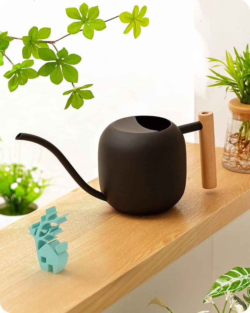 Watering Can Indoor Plants with Long Spout, 1.2L / 41oz (Black) | Small Metal Watering Pot For Houseplant Bonsai, Stainless Steel Water Can, Wooden Handle, Long Neck, Gentle Flow, No Spill