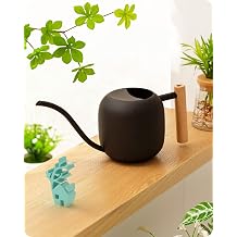 Baffect Watering Can Indoor Plants Stainless Steel with Wooden Handle 1.2 L Black Small Bonsai Watering Jug Metal Watering Can with Long Neck for Indoor Potted Plants Flower Pot for Indoor Plants