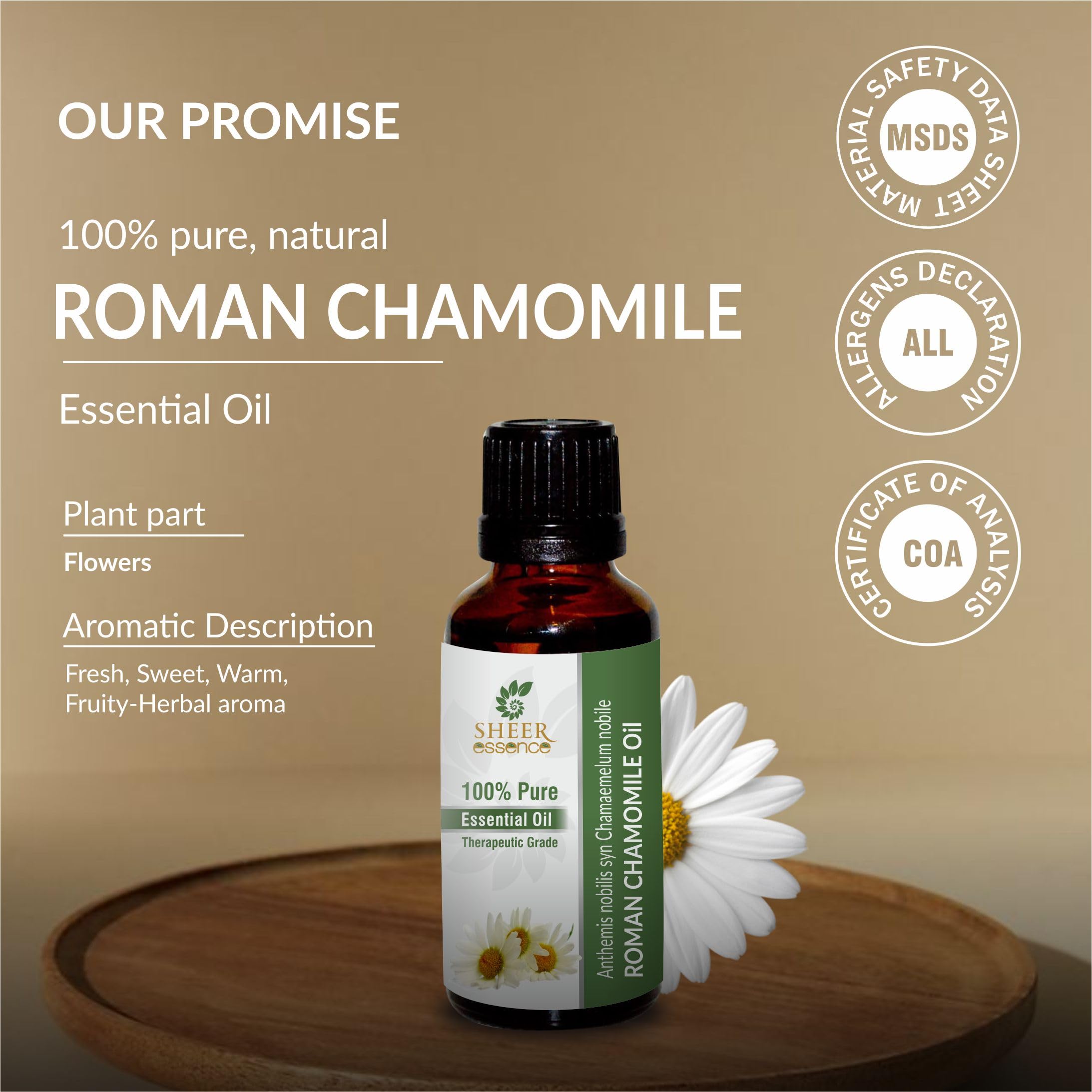Roman Chamomile Oil (Anthemis Nobilis Syn Chamaemelum Nobile) Essential Oil 100% Pure Natural Undiluted Uncut Therapeutic Grade Oil 0.33 FL.OZ