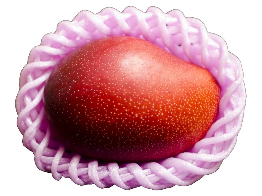 宮崎県産完熟マンゴー Lサイズ 4玉 1.2kg以上 宮崎県産完熟マンゴー Lサイズ4玉1.2kg以上 - メルカリ