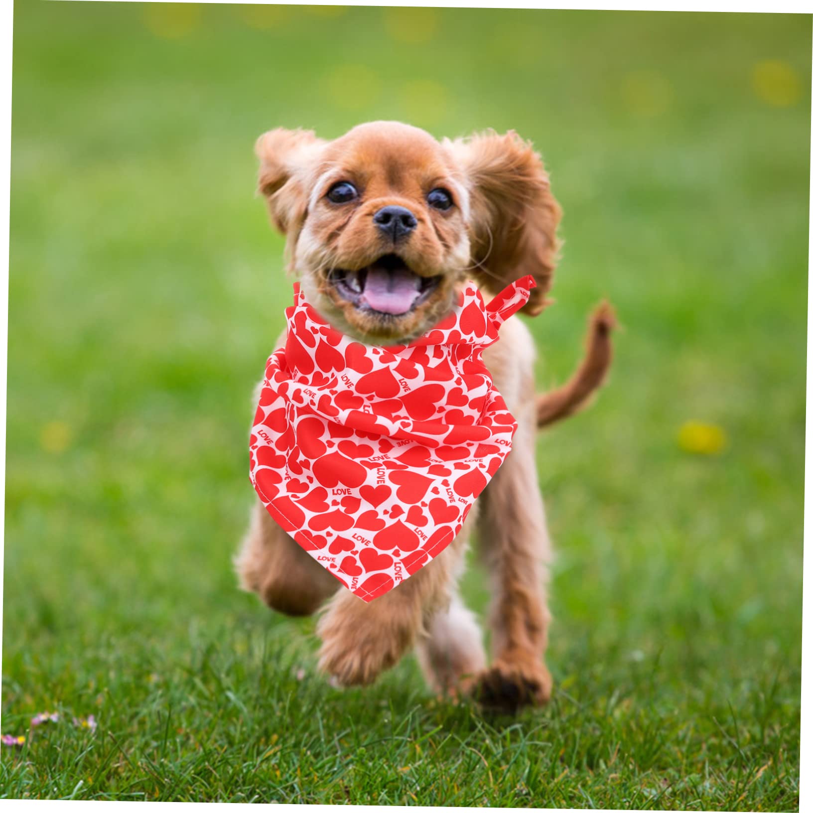 minkissy 15pièces Bandanas pour Chiens pour Saint-Valentin Accessoires De Fête pour Animaux De Compagnie pour Photos Sorties avec Style