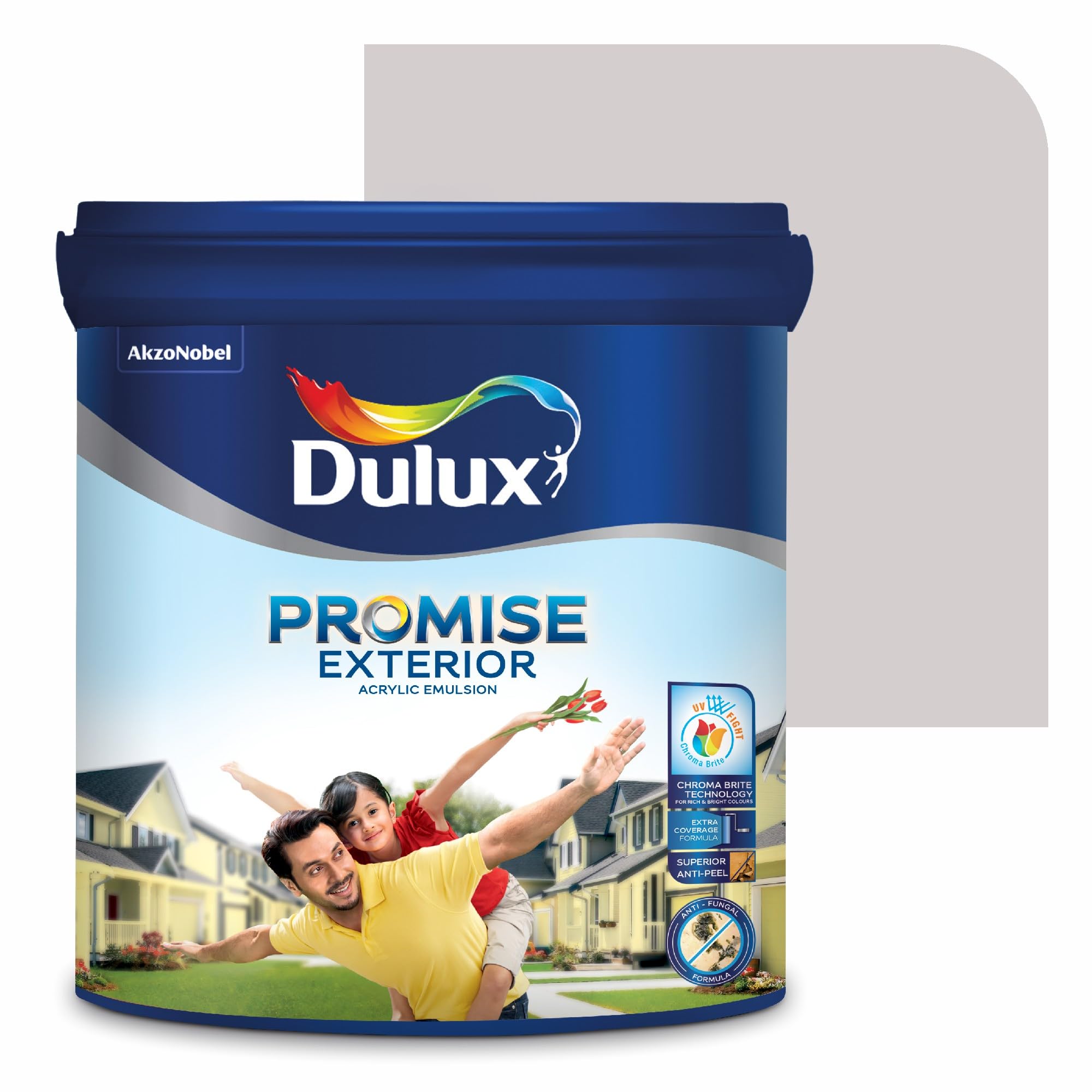 Dulux Promise Exterior Emulsion Paint (1L, Mute Rain) | Ideal for Exterior Walls | Smooth Finish | Anti-Peel & Anti-Crack | Long-Lasting Colors