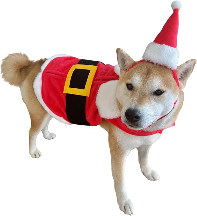 Capa y Gorro de Santa Claus para Perros ComfyCamper Talla L miniatura 2
