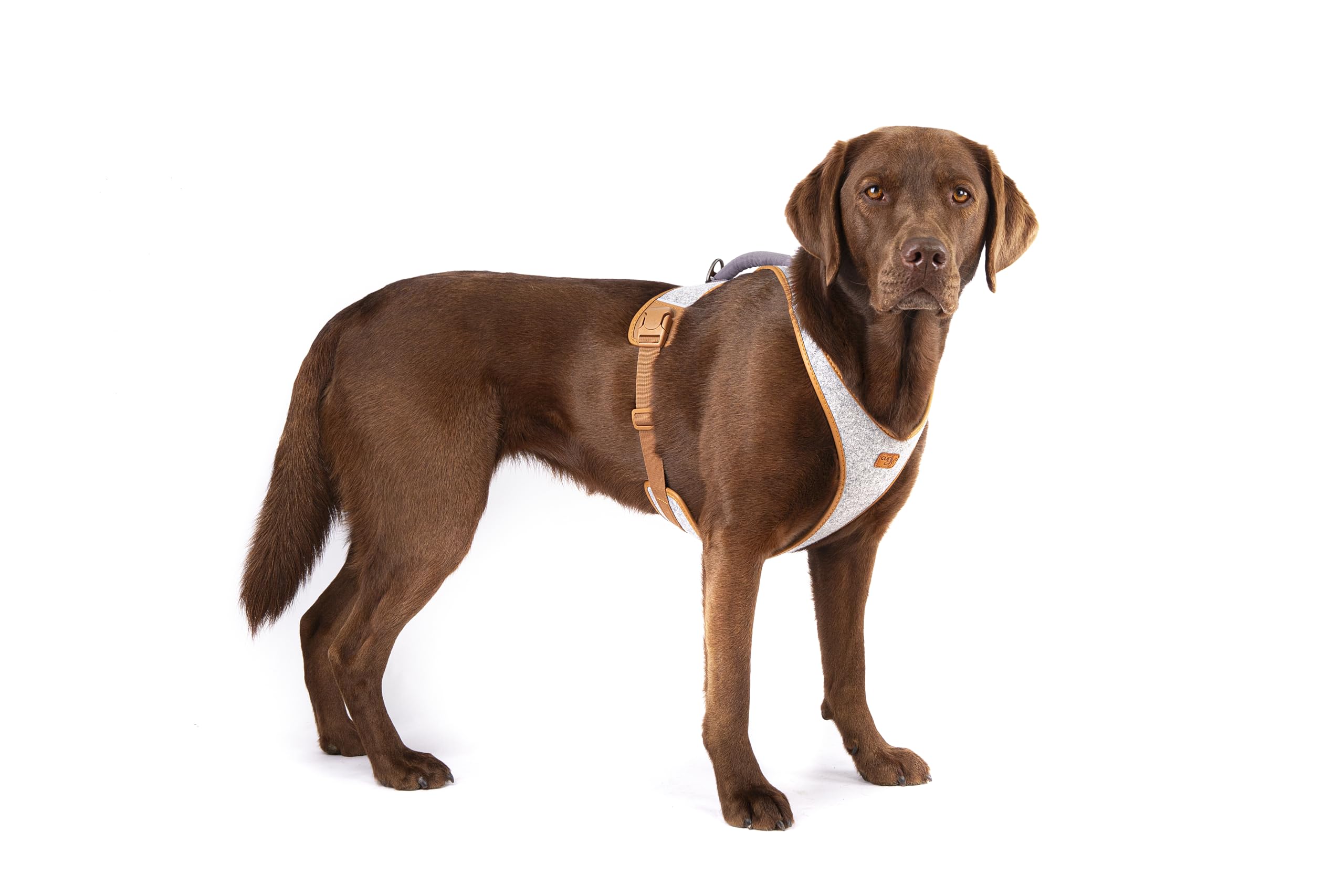 Alpine Belka Harness Gray 3XL