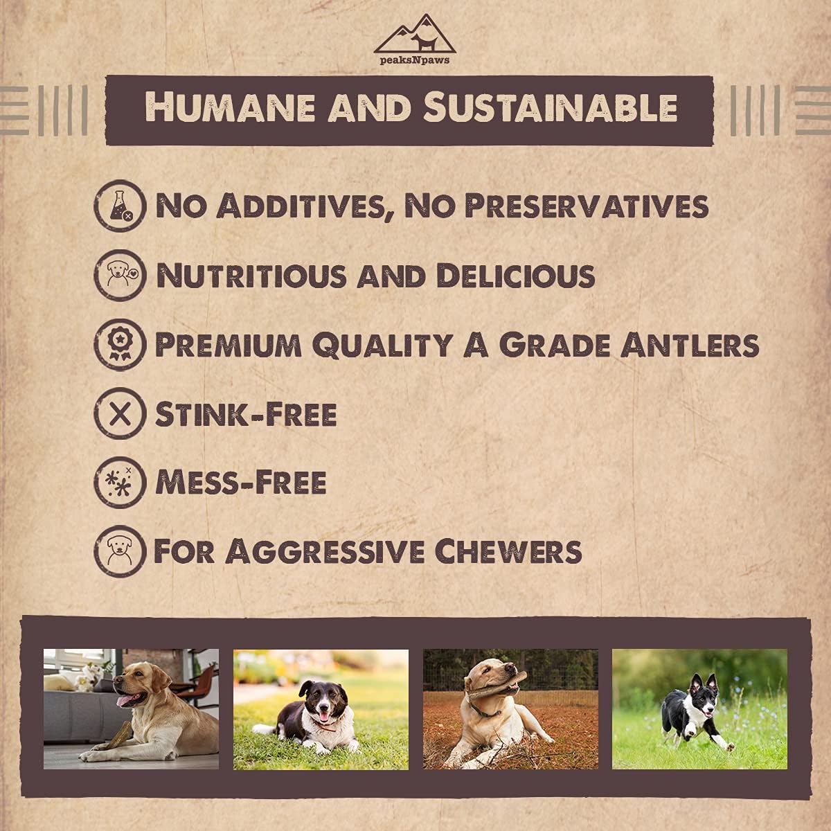 peaksNpaws Premium All-Natural Grade A Whole Elk Antlers for Dogs No Additives, No Preservatives Treat - Made in USA (Medium/Large)